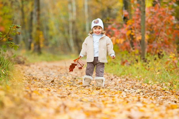 Sonbahar zaman, mutlu küçük bebek, sonbahar yaprakları bir buket ile yol boyunca kız yürüyor. — Stok fotoğraf