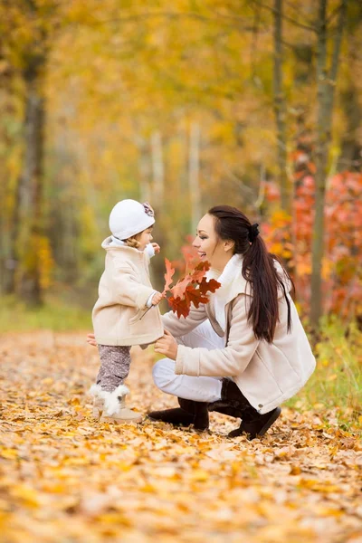 Klein meisje en haar moeder spelen in het herfstpark — Stockfoto