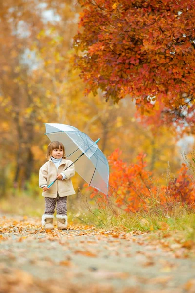 Autumn time, happy little girl is walking along the path with an umbrella in the fall on nature, walking outdoors — Stock Photo, Image