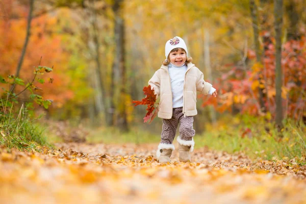 Sonbahar zaman, mutlu küçük bebek, sonbahar yaprakları bir buket ile yol boyunca kız yürüyor. — Stok fotoğraf