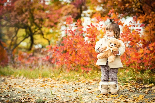 Liten flicka med en nalle i handen på en bakgrund av höst lövverk. Höstens tid. — Stockfoto