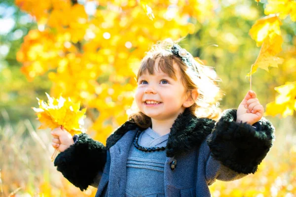 Happy little child, baby girl laughing and playing in the autumn on the nature walk outdoors — Stock Photo, Image