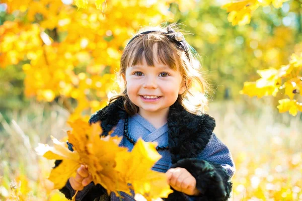 Criança pequena feliz, bebê menina rindo e brincando no outono na natureza andar ao ar livre — Fotografia de Stock