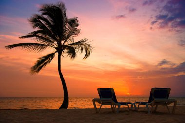 Gün batımı tropikal Beach Palm ağaçlar siluet. Turuncu günbatımı.