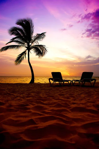 Beautiful sunrise on the ocean coast, palm tree and sun loungers. — Stock Photo, Image
