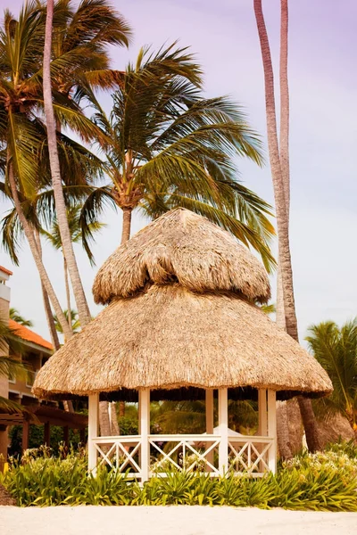 Het hotel grondgebied met palmbomen op het strand. Uitzicht op de zee. — Stockfoto