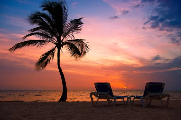 Silueta de palmeras en la playa tropical al atardecer. Puesta de sol naranja . — Foto de Stock
