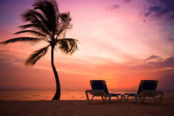 Φοίνικας δέντρα σιλουέτα στο ηλιοβασίλεμα τροπική παραλία. Πορτοκαλί ηλιοβασίλεμα. — Φωτογραφία Αρχείου