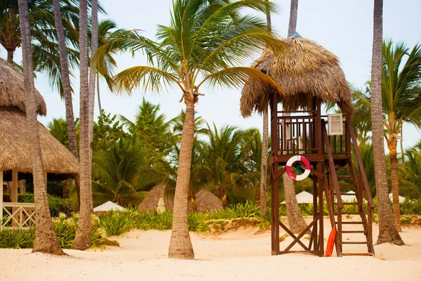 Badmeester toren op het strand op een achtergrond van palmbomen — Stockfoto