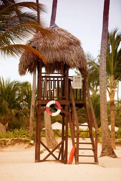 Спасательная башня на пляже на фоне пальм — стоковое фото