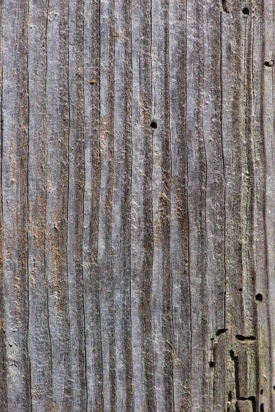 Textura de madeira. Placa de madeira cinzenta com linhas de rachaduras desgastadas. Natu... — Fotografia de Stock