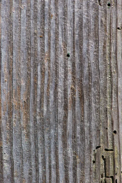 Textura de madera. Tablero de madera gris con líneas de grietas erosionadas. Natu. — Foto de Stock