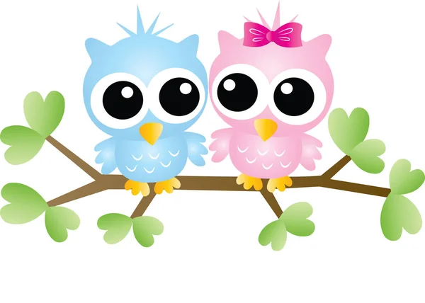 两只甜美的小猫头鹰坐在树枝上爱或友情 — 图库矢量图片#