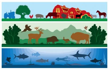 dizi siyah beyaz vektör manzara yaban hayatı, çiftlik, deniz yaşamı