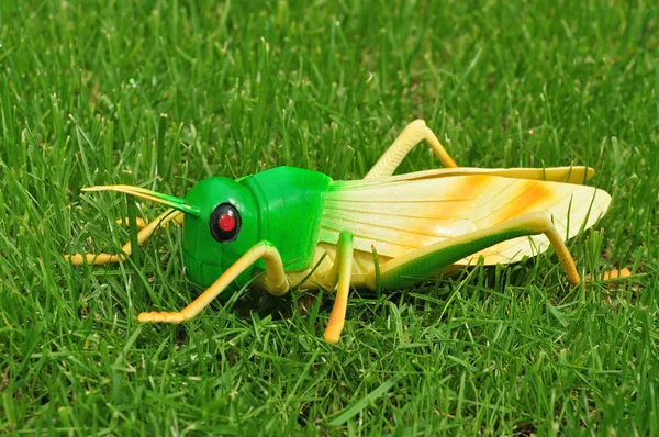 Plastik-Heuschrecken im Garten — Stockfoto