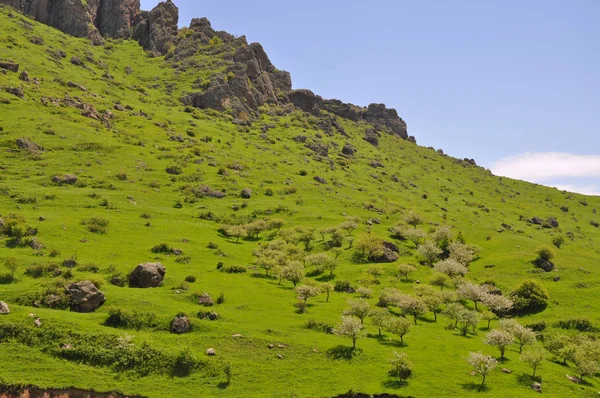 Sulle montagne dell'Armenia — Foto Stock