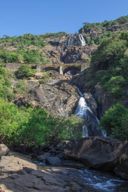 Dağlarda Hindistan'da şelale