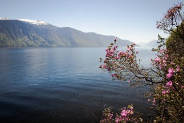Altay Cumhuriyeti. Teletskoye Gölü