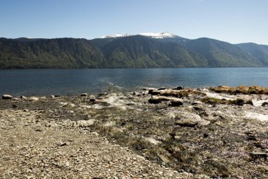 Altay Cumhuriyeti. Teletskoye Gölü