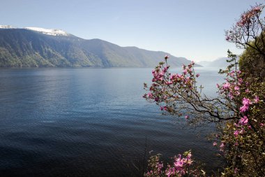 Altay Cumhuriyeti. Teletskoye Gölü