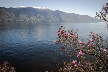 Altay Cumhuriyeti. Teletskoye Gölü