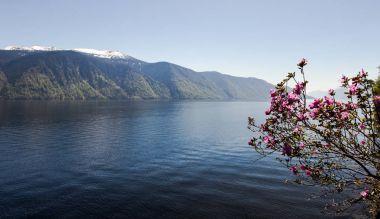 Altay Cumhuriyeti. Teletskoye Gölü