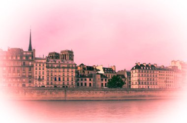 Paris yürüyüş