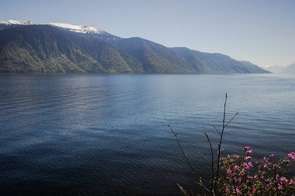 La República de Altai. Lago Teletskoye —  Fotos de Stock