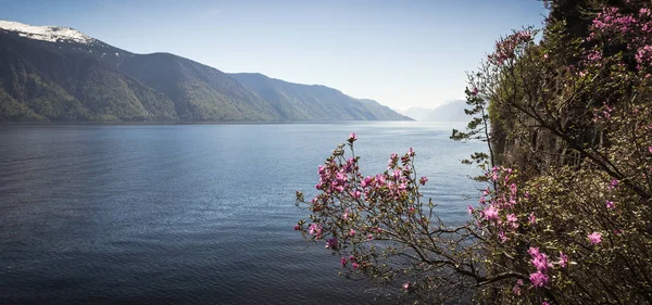 Altay Cumhuriyeti. Teletskoye Gölü
