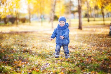 Çocuk sonbahar parkı ile çalışır