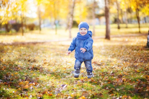Çocuk sonbahar parkı ile çalışır