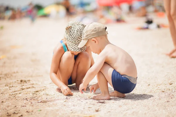 Los niños en la playa buscan conchas marinas pequeñas — Foto de Stock