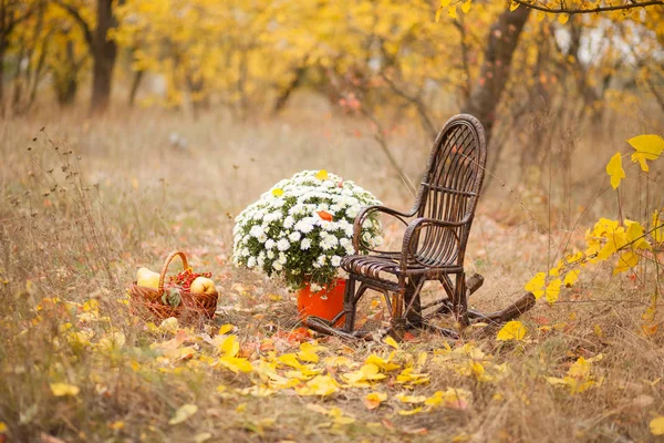 Sonbahar konumu, sonbahar dekorasyonu, sandalye 