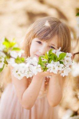 bir çiçek açması içinde güzel sarışın kız kiraz meyve bahçesi