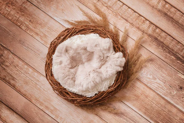 Asma ve yenidoğan kahverengi ahşap arka plan üzerinde fotoğraf çekmek için spikelets iç içe