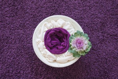 Yeni doğan fotoğrafçılık, mor arka planda dekoratif lahanalı beyaz ahşap kase ve mor ruh halini destekliyor.