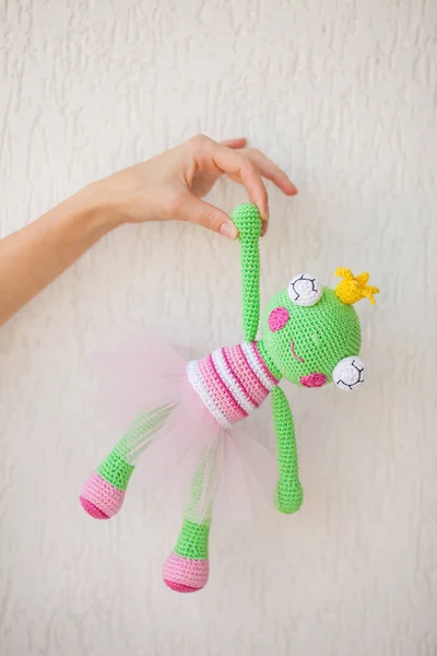 in the hands of a knitting craftsman, her creation is a toy green frog in a pink dress and with big eyes, magical work and hard work