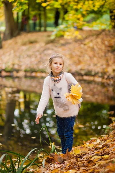 little girl in a pink sweater with a cat collects autumn leaves on the lake, autumn walk