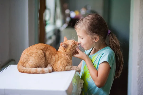 女の子は家の中の明るい部屋で赤い猫を抱きかかえ動物への愛 — ストック写真