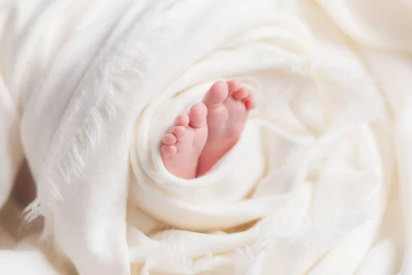 legs of a newborn baby in a white cloth wrapped on a light background, motherly love and tenderness for a child