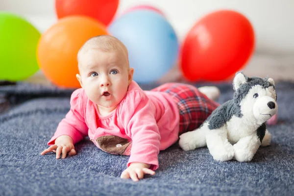 Bambino Sotto Anno Trova Sulla Pancia Divano Vicino Giocattolo Cani — Foto Stock