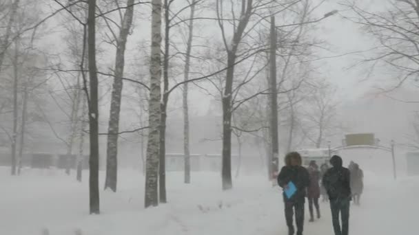Tempestade de neve no parque da cidade em Nizhny Novgorod — Vídeo de Stock
