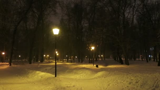 Noche nevando en el parque de Nizhny Novgorod — Vídeo de stock