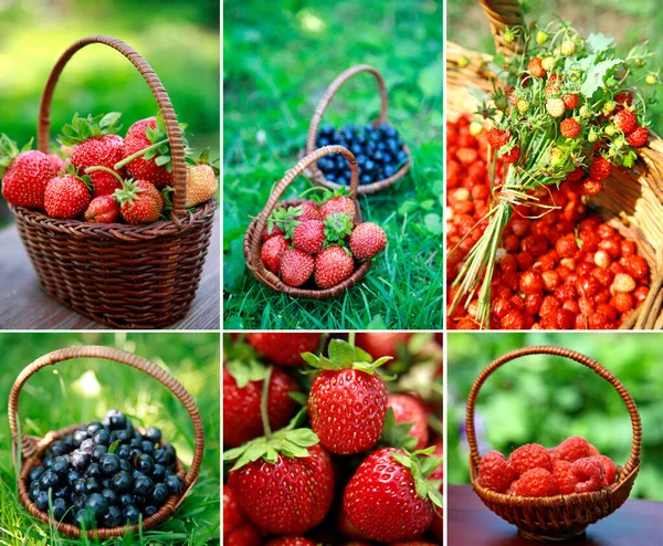 Collage Different Berries Strawberries Blueberries Raspberries Wild Strawberries — Stock Photo, Image