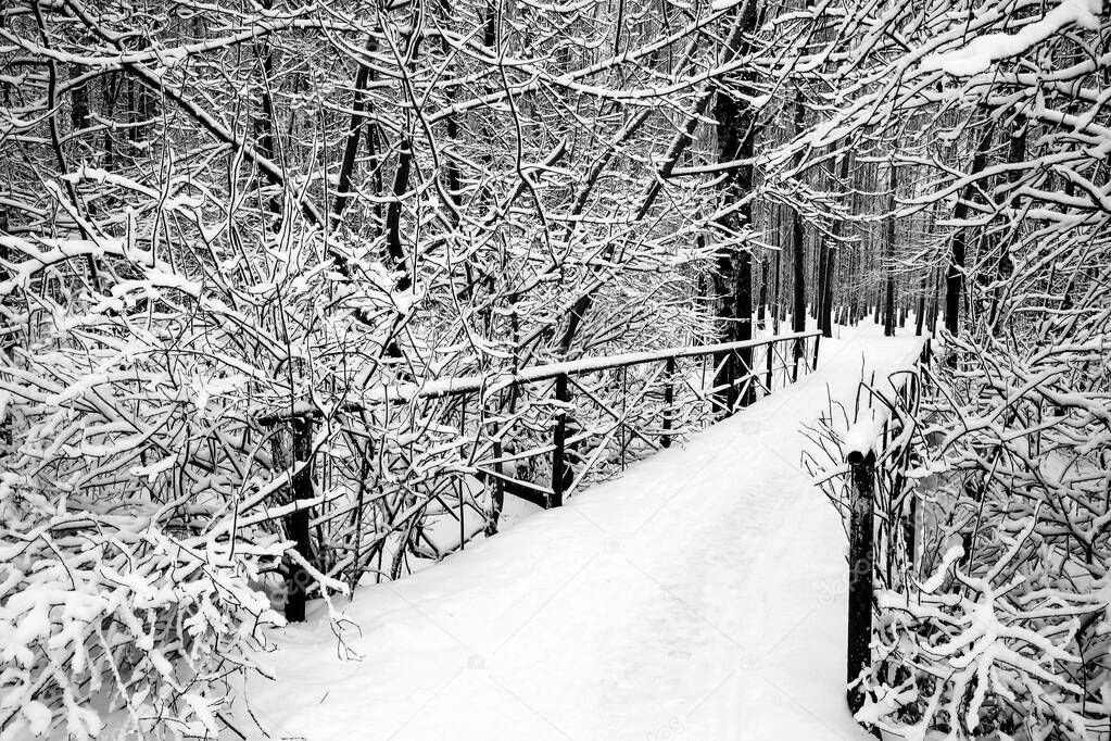 Bridge in city park at winter day black and white