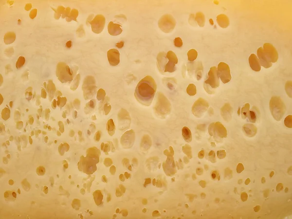 Τυρί τρύπες, μπροστινή όψη — Φωτογραφία Αρχείου