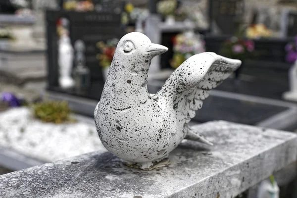 Estátua de pombo de pedra — Fotografia de Stock