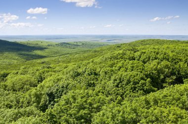 Güzel yaz peyzaj dağlık arazi, büyük bir yükseklikten görünümü
