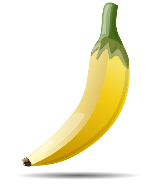 Desenho Uma Bela Fruta Banana Madura Ilustração Vetorial Isolada Sobre — Vetor de Stock