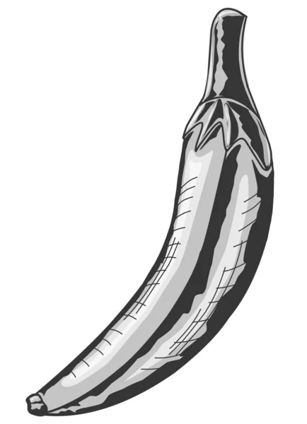 Desenho Uma Bela Fruta Banana Madura Ilustração Vetorial Isolada Sobre — Vetor de Stock